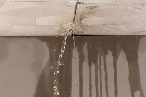 Professional Structural Drying technician working in Whitehall, WI